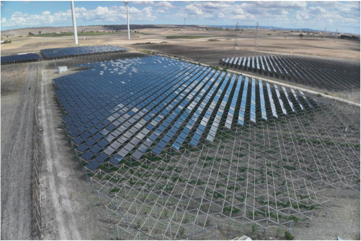 L'impianto agrivoltaico di Laterza, in Puglia